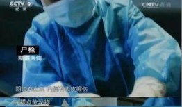 法医吃瓜事件,揭秘法庭背后的惊人真相