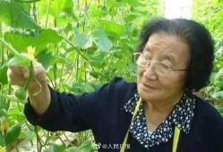 吃瓜人管家娘子全文手打,宫廷秘闻与爱情纠葛