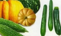 吃瓜变碴,揭秘网络舆论的演变之路