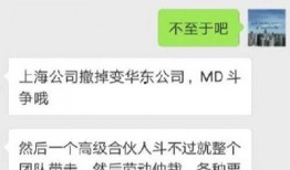 麦肯锡上海吃瓜,揭秘这座国际都市的“吃瓜”文化