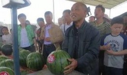 内黄吃瓜群,揭秘乡村生活趣味与智慧