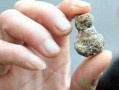 肾结石可以吃毛瓜