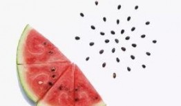 胃吐了可以吃贝贝瓜