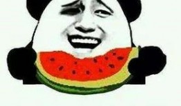 吃瓜群众的韩语,吃瓜群众视角下的韩流风云