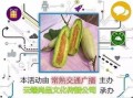 晚上吃羊角瓜,营养美味，养生新选择