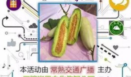 晚上吃羊角瓜,营养美味，养生新选择