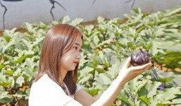 小外孙女吃瓜,小外孙女吃瓜趣事多