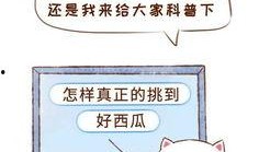 吃瓜群众打卡真相,揭秘吃瓜群众打卡背后的真相