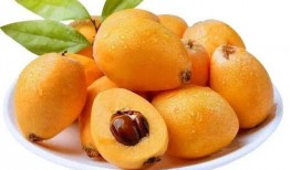 带你吃瓜枇杷饮料