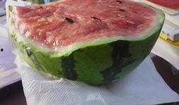 吃瓜不吃瓜有啥用处吗