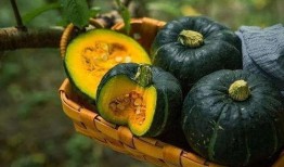 大栗子吃瓜,揭秘瓜界奇闻轶事