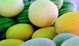 天津哪里吃瓜好,天津瓜果美食探店指南