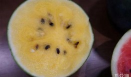 什么瓜吃瓤才好吃,揭秘吃瓤口感佳的秘密
