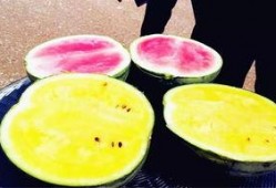 网爆泄密吃瓜,吃瓜群众揭秘幕后真相
