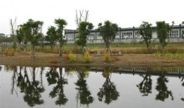 眉山湿地公园吃瓜,夏日消暑吃瓜好去处