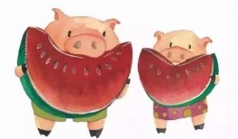 猪吃卧瓜,探寻猪与卧瓜的奇妙缘分