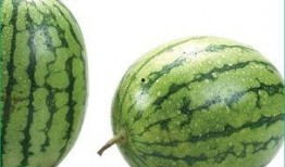 吃瓜就过敏,揭秘夏日美食背后的健康隐患