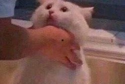 朝阳群众吃瓜测试,揭秘京城街头的热辣八卦