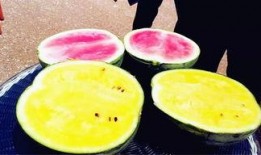 小区吃大瓜,小区吃大瓜，揭秘社区生活点滴