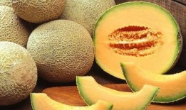 石头人吃哈密瓜,邂逅哈密瓜的甜蜜之旅