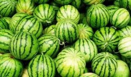 西瓜比赛吃瓜技巧