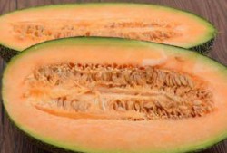 石头人吃哈密瓜,邂逅哈密瓜的甜蜜之旅