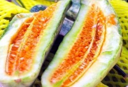 吃瓜云瓜,探寻夏日消暑新潮流