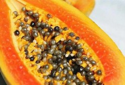 缅北小孩吃瓜视频真实,揭开神秘食文化面纱