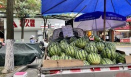 成都直播吃瓜,一场美食与娱乐的盛宴