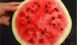 吃瓜不吃瓜有啥用处吗