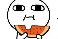 瓜瓜吃瓜审美批评,揭秘网络审美批评的趣味与深度