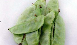 吃瓜不如吃豆什么意思