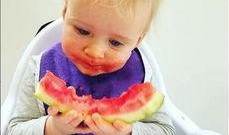 埋头吃瓜萌娃,萌态十足引网友热议