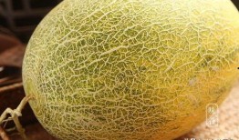 哈密瓜怎么吃能更甜一些,解锁更甜口感的方法