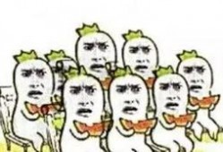 11111吃瓜群众,揭秘吃瓜群众的狂欢盛宴