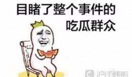 吃瓜群众的韩语,吃瓜群众视角下的韩流风云