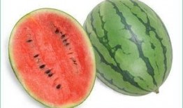 吃瓜就过敏,揭秘夏日美食背后的健康隐患