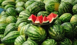 榆林老孟吃瓜,揭秘民间吃瓜文化的魅力与传承