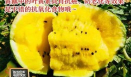 不寻吃瓜全文,一场关于真相与舆论的深度探讨