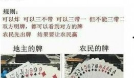 吃瓜太多搞笑文案,搞笑文案盘点