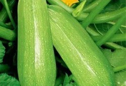 吃瓜小小,揭秘娱乐圈背后的那些事儿