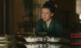 吃瓜人管家娘子全文手打,宫廷秘闻与爱情纠葛