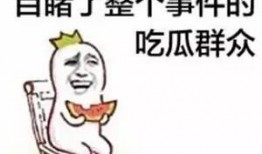 带你吃瓜之游泳,揭秘游泳界的那些事儿