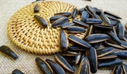 我吃瓜子皮音吃瓜蛋,揭秘“吃瓜蛋”的独特魅力