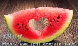 羊肉可以和茄瓜一起吃么