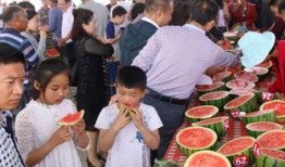 内黄吃瓜群,揭秘乡村生活趣味与智慧