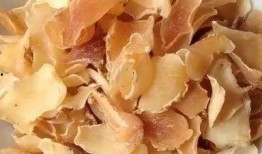 吃湖州的瓜,探寻江南瓜田里的甜蜜时光