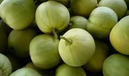 景甜瓜吃瓜群,揭秘明星幕后趣闻，粉丝互动新天地