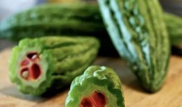 慢悠悠吃瓜组,揭秘娱乐圈幕后故事，带你领略轻松娱乐时光