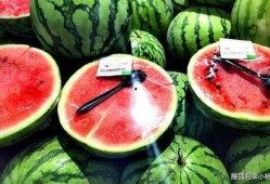 西瓜比赛吃瓜技巧